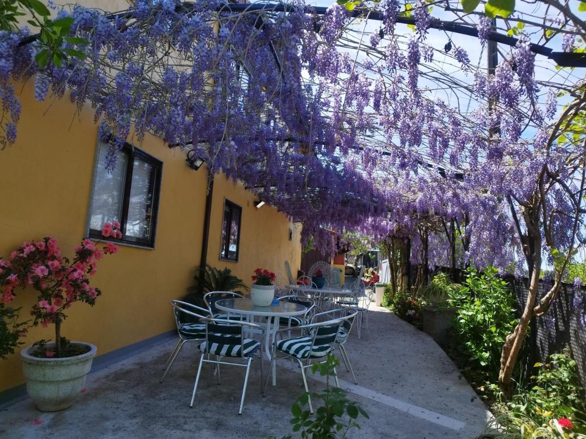 فندق Casa Da Vieira أورينس المظهر الخارجي الصورة